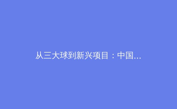 从三大球到新兴项目：中国职业体育商业化的十字路口 - 2